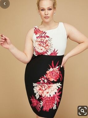 Lane Bryant Floral Colorbock Sheath Dress Size 26/28